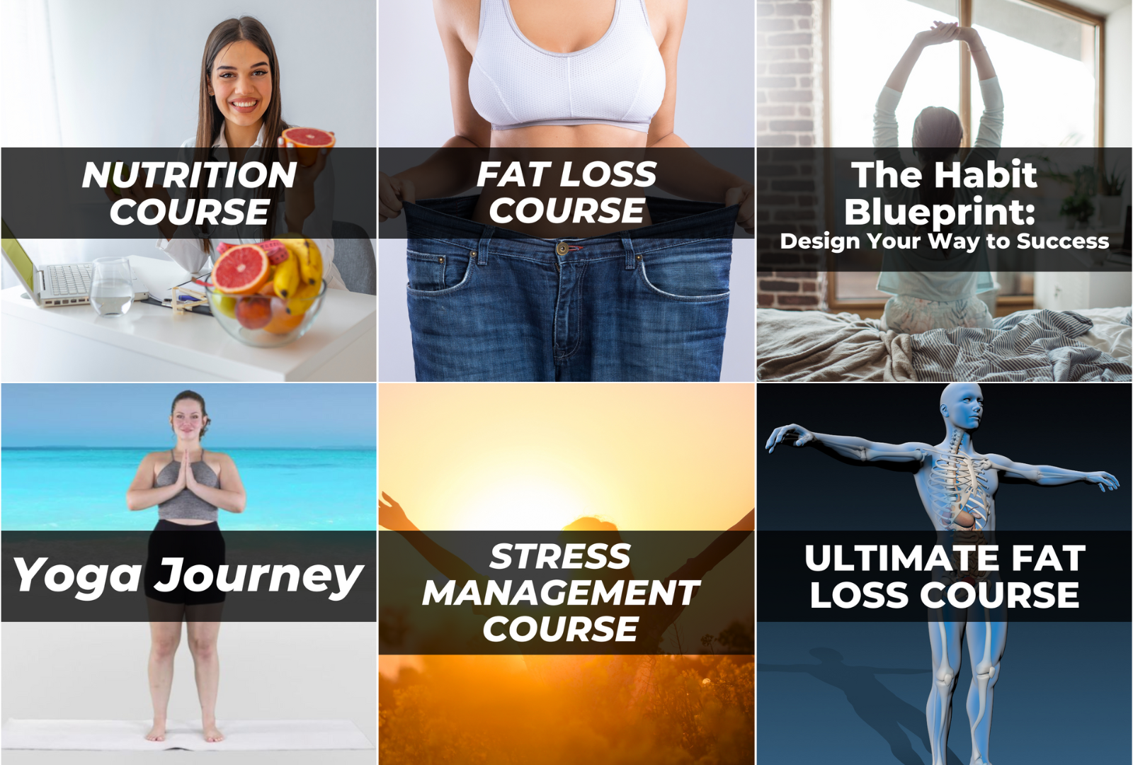 iFitz Wellness Learning Programs